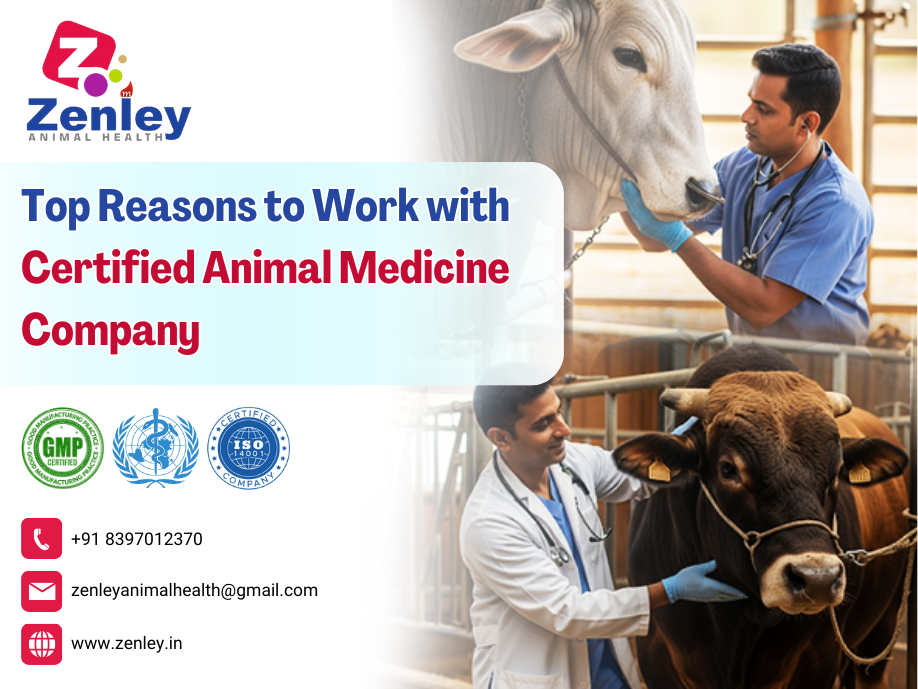 Top Reasons to Work with Certified Animal Medicine Company