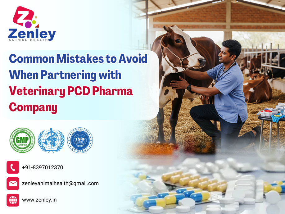 Common Mistakes to Avoid When Partnering with Veterinary PCD Pharma Company