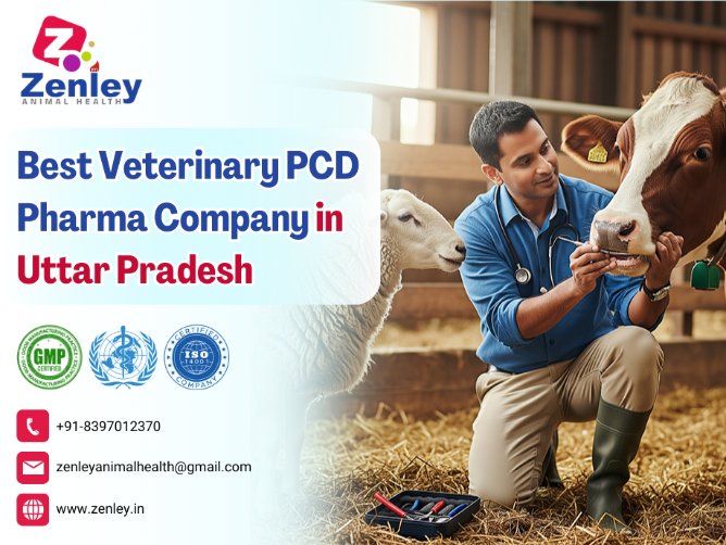 Best Veterinary PCD Pharma Company in Uttar Pradesh