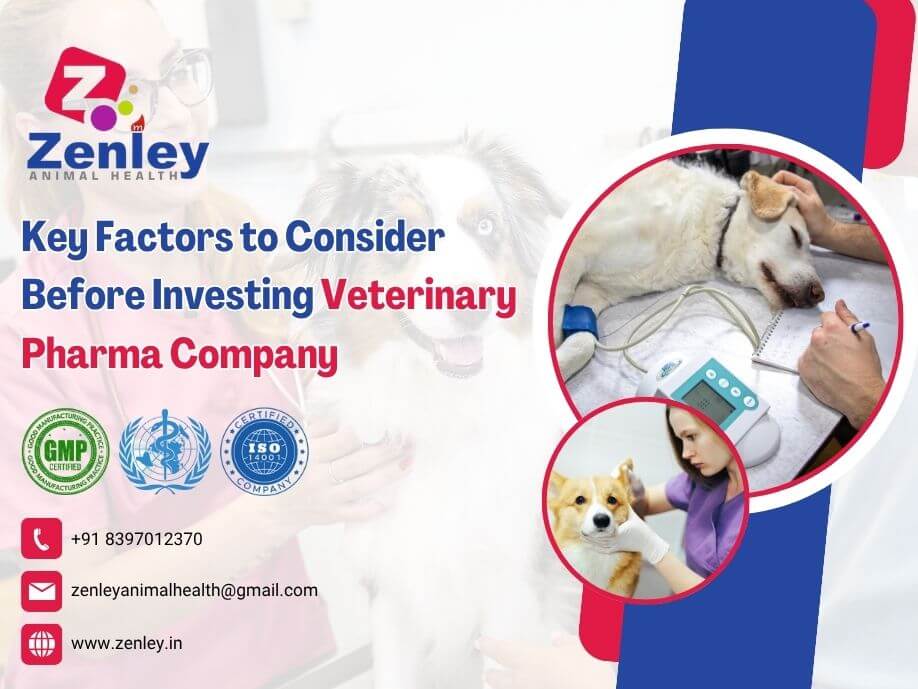 Key Factors to Consider Before Investing Veterinary Pharma Company