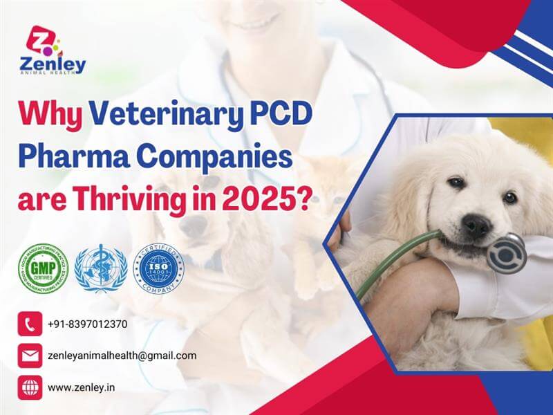 Why Veterinary PCD Pharma Companies are Thriving in 2025?