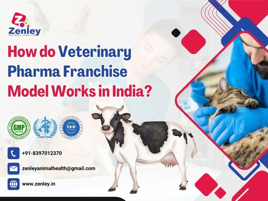 How Do Veterinary Pharma Franchise Model Works in India?
