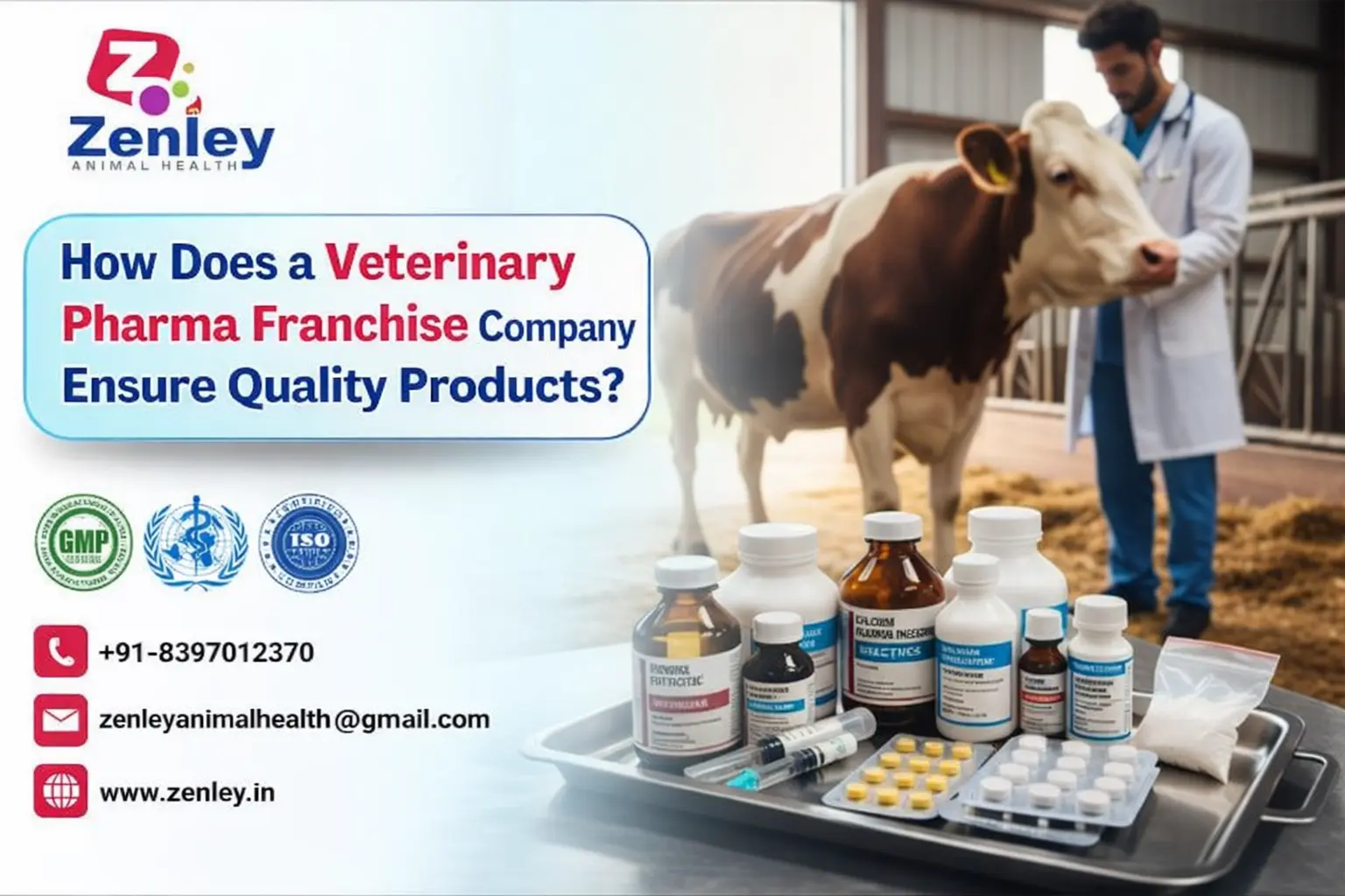 How Does a Veterinary Pharma Franchise Company Ensure Quality Products?