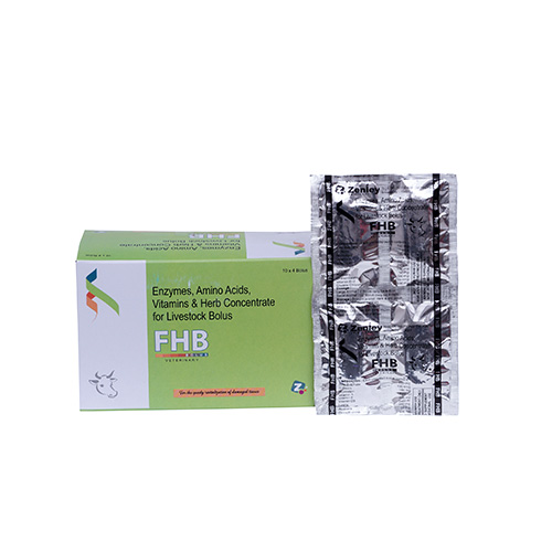 FHB BOLUS