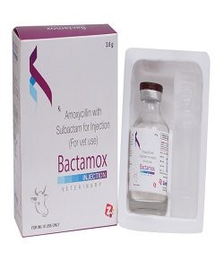 Bactamox 3 gm