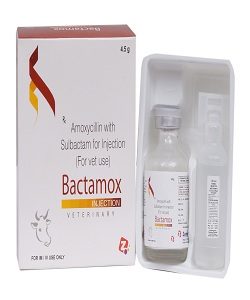 Bactamox 4.5 gm